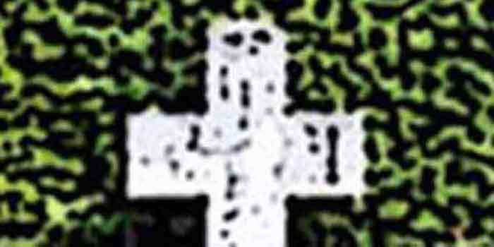 Bekende Nederlanders overleden in 2026