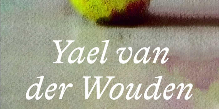 De bewaring roman van Yael van der Wouden