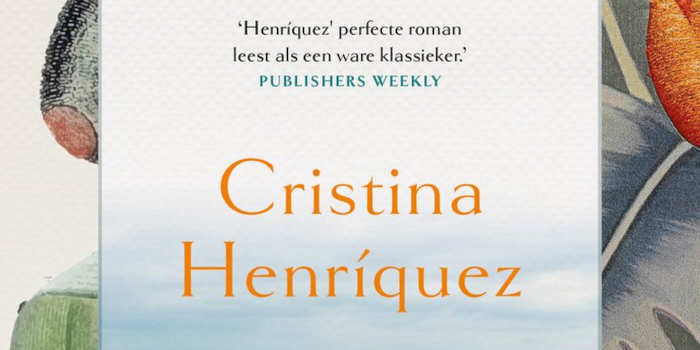 De grote scheiding roman van Cristina Henríquez