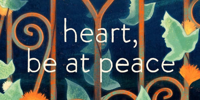 Heart, Be at Peace roman van de Ierse schrijver Donal Ryan