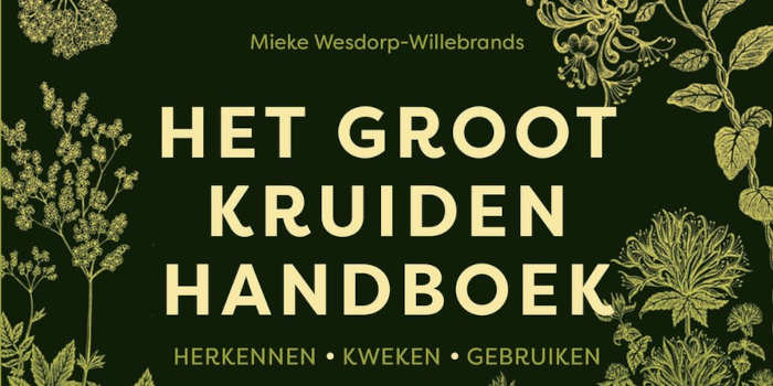 Het groot kruidenhandboek van Mieke Wesdorp-Willebrands