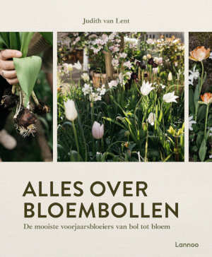 Judith van Lent Alles over bloembollen