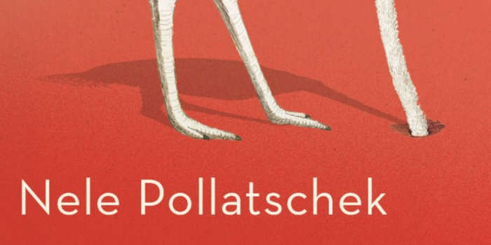 Kleinigheden roman van Nele Pollatschek