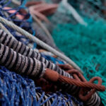 Schotland vissersschepen afkortingen Schotse vissershavens