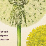 Vertel me alles Lucy Barton roman 5 van Elizabeth Strout