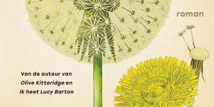 Vertel me alles Lucy Barton roman 5 van Elizabeth Strout