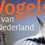 Vogelgids Handboek vogels van Nederland