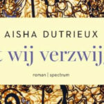 Wat wij verzwijgen roman van Aisha Dutrieux