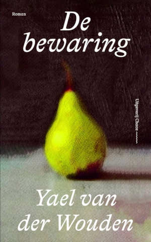 Yael van der Wouden De bewaring